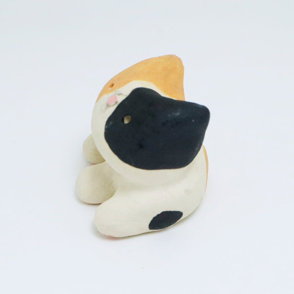 Mr. Stinky | Pocket Kitty