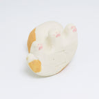 Mr. Stinky | Pocket Kitty