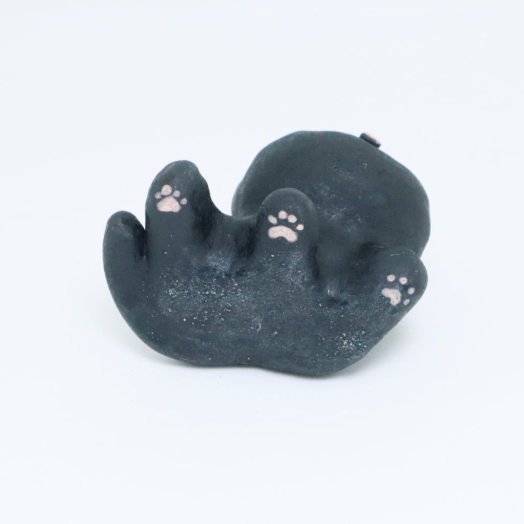 Shooting Star | Pocket Kitty