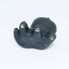 Shooting Star | Pocket Kitty