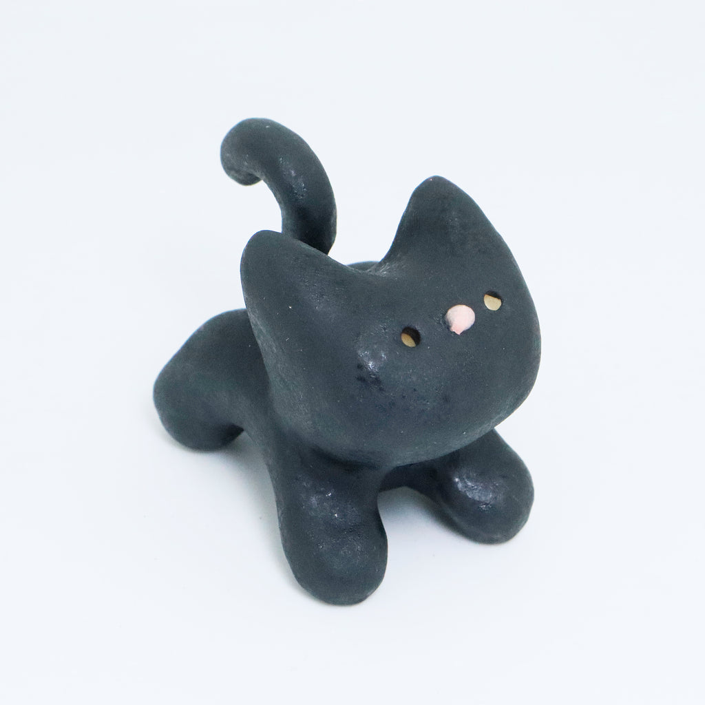 Galaxy | Pocket Kitty