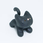 Galaxy | Pocket Kitty