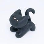 Galaxy | Pocket Kitty