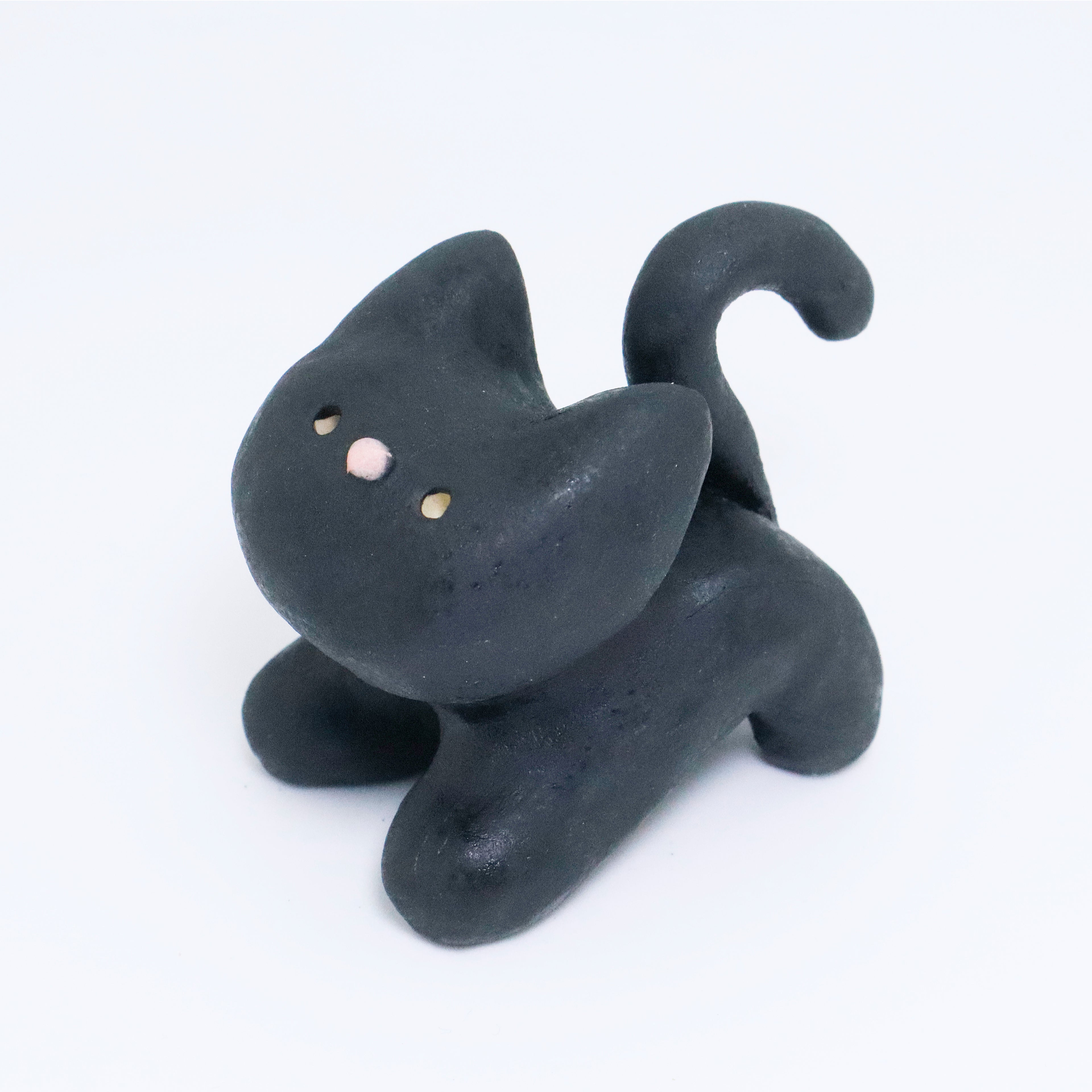 Galaxy | Pocket Kitty