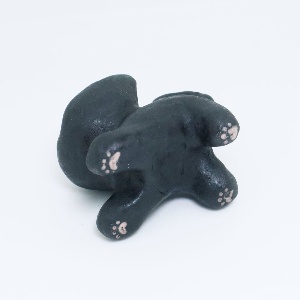 Galaxy | Pocket Kitty