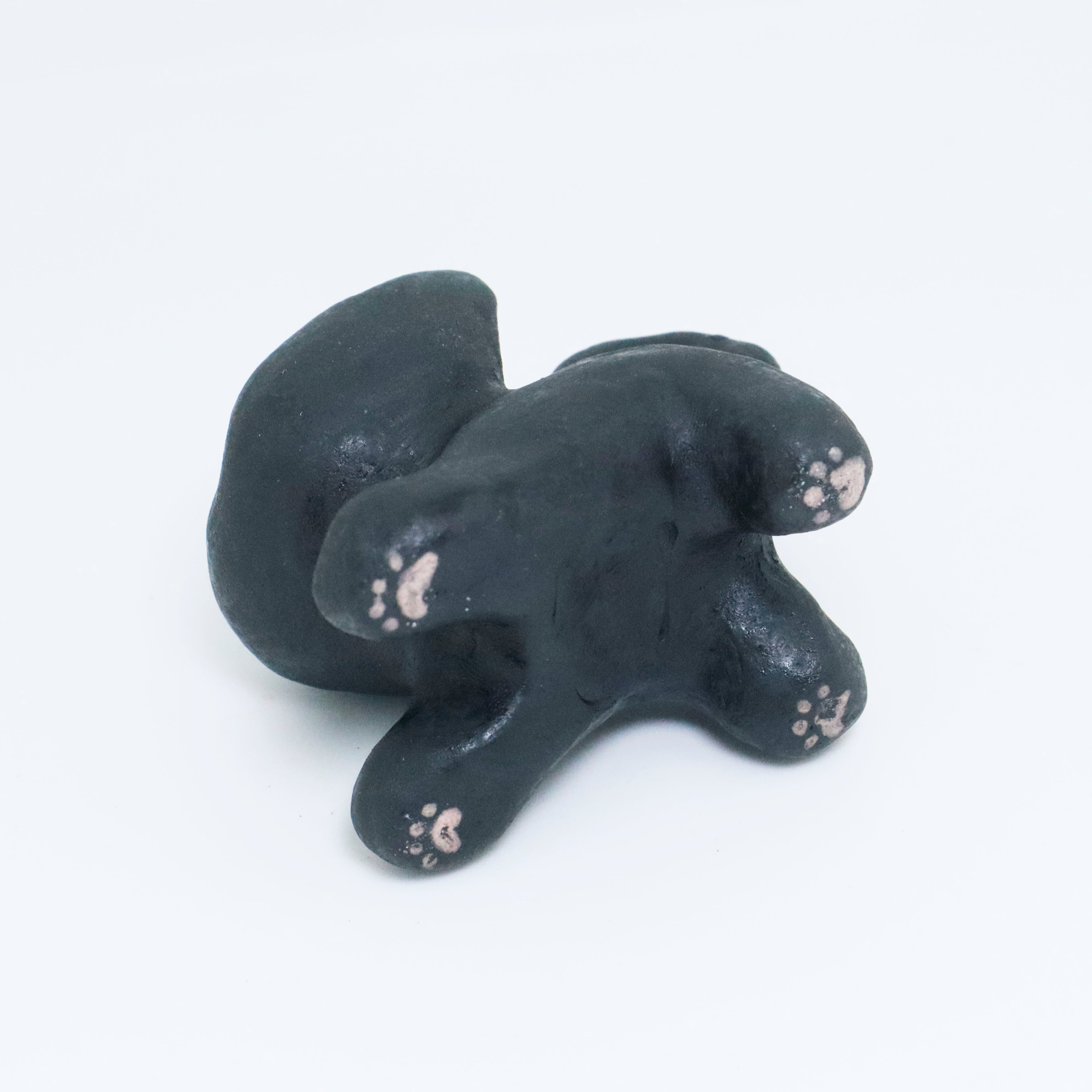 Galaxy | Pocket Kitty