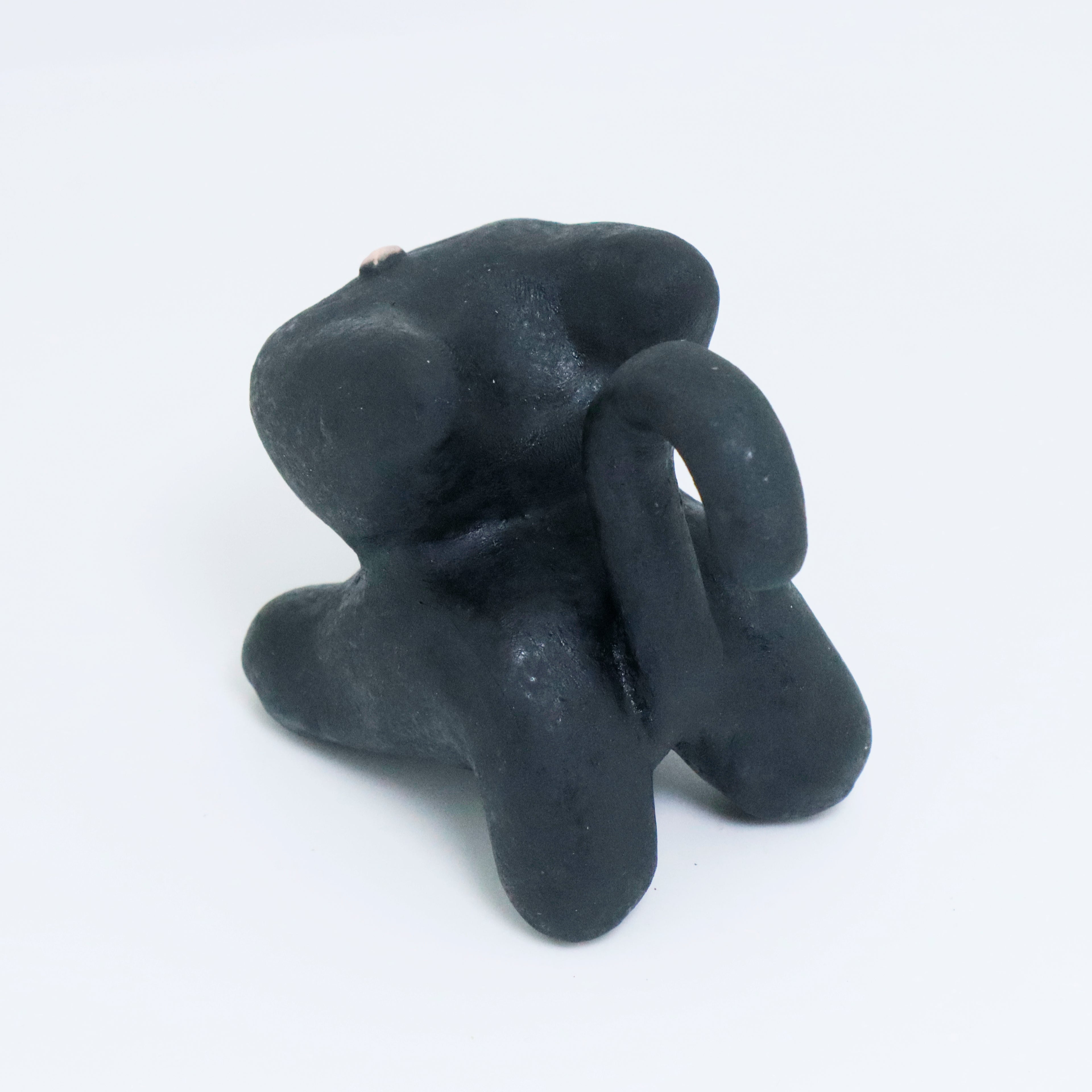 Galaxy | Pocket Kitty