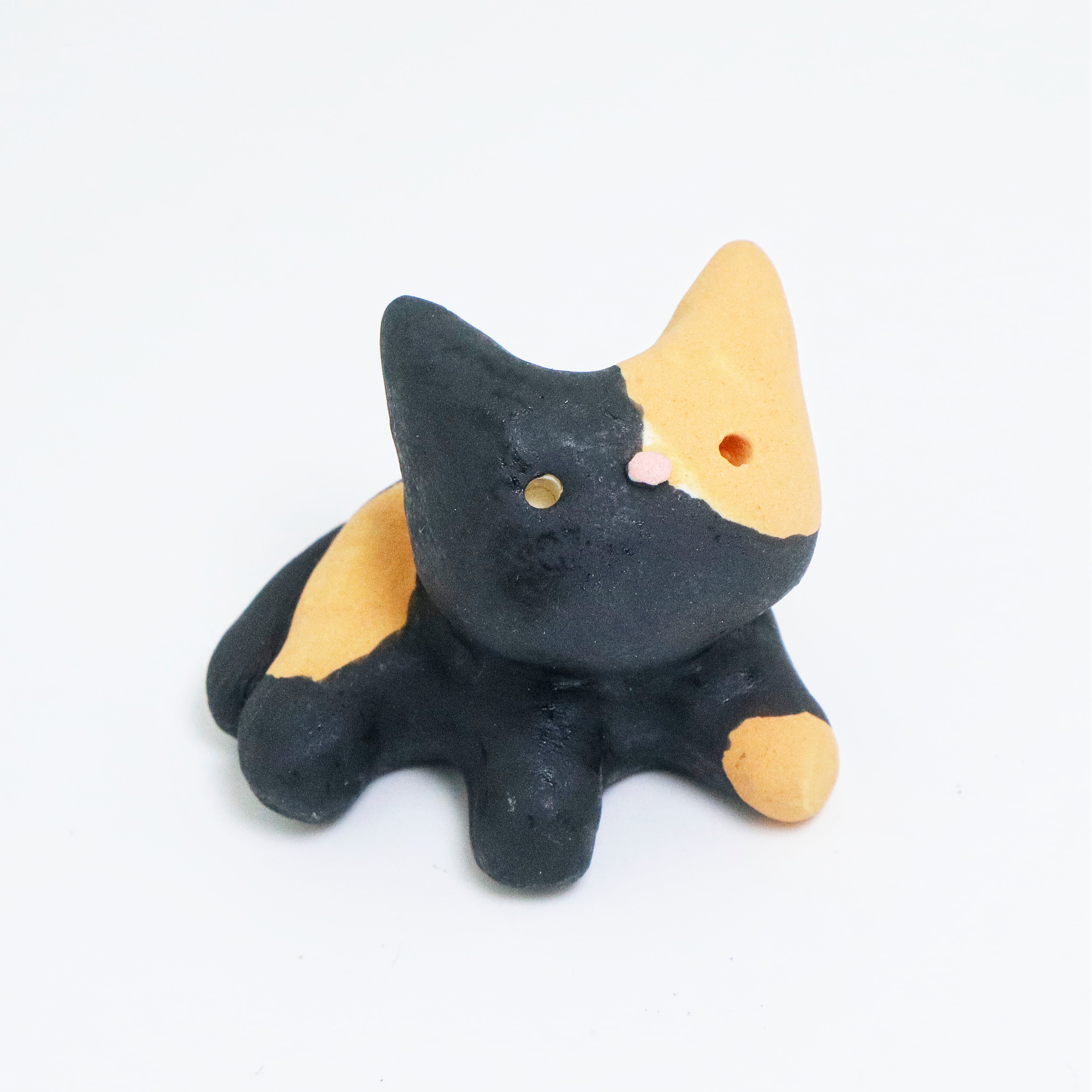 Tangy | Pocket Kitty