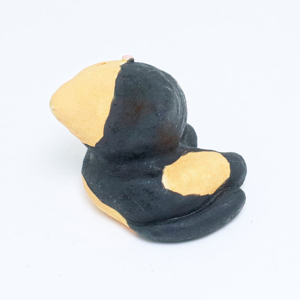 Tangy | Pocket Kitty