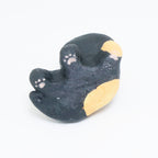 Tangy | Pocket Kitty