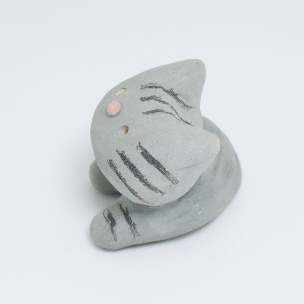 Dusty | Pocket Kitty