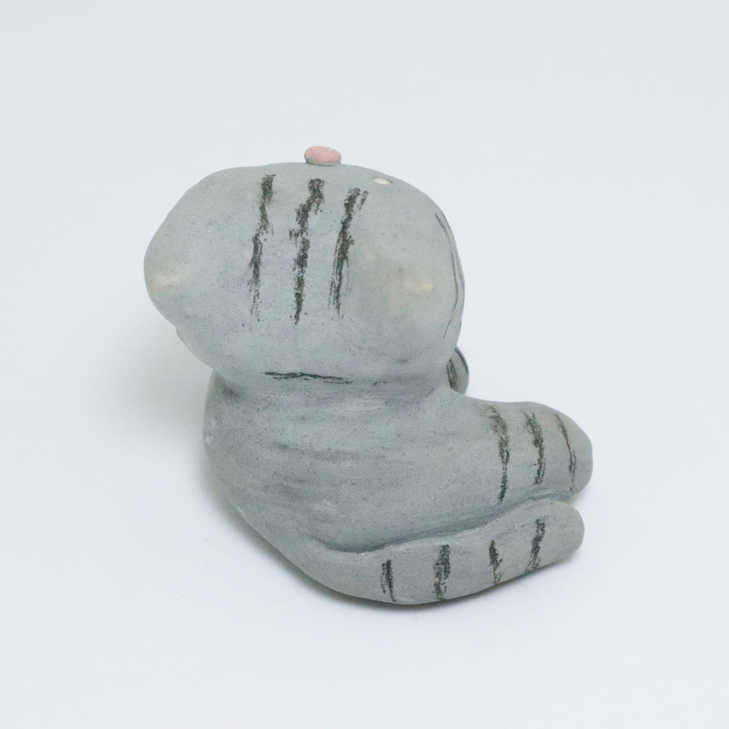 Dusty | Pocket Kitty