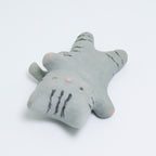 Willow | Pocket Kitty