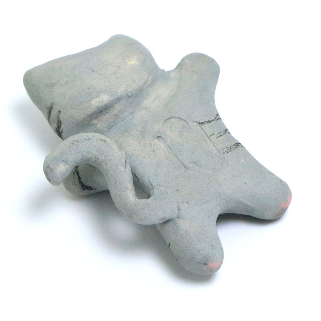 Willow | Pocket Kitty