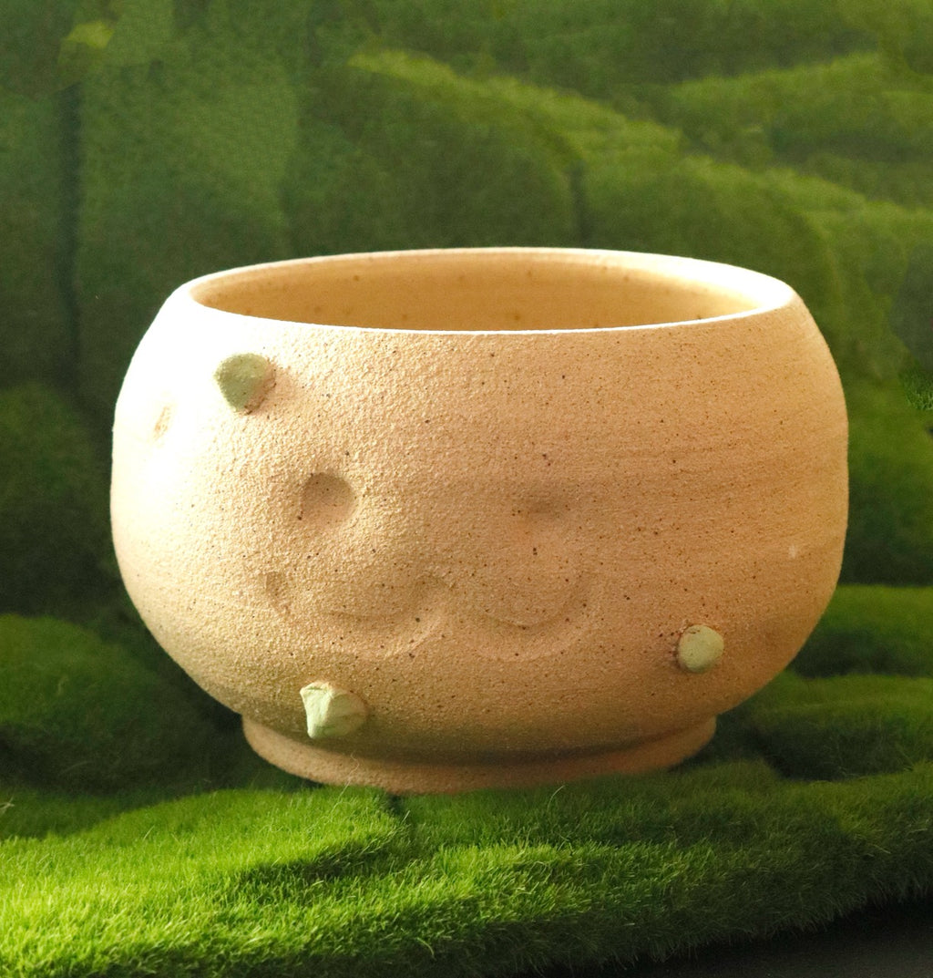 Mr. Potato | Planter