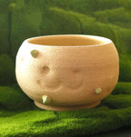 Mr. Potato | Planter