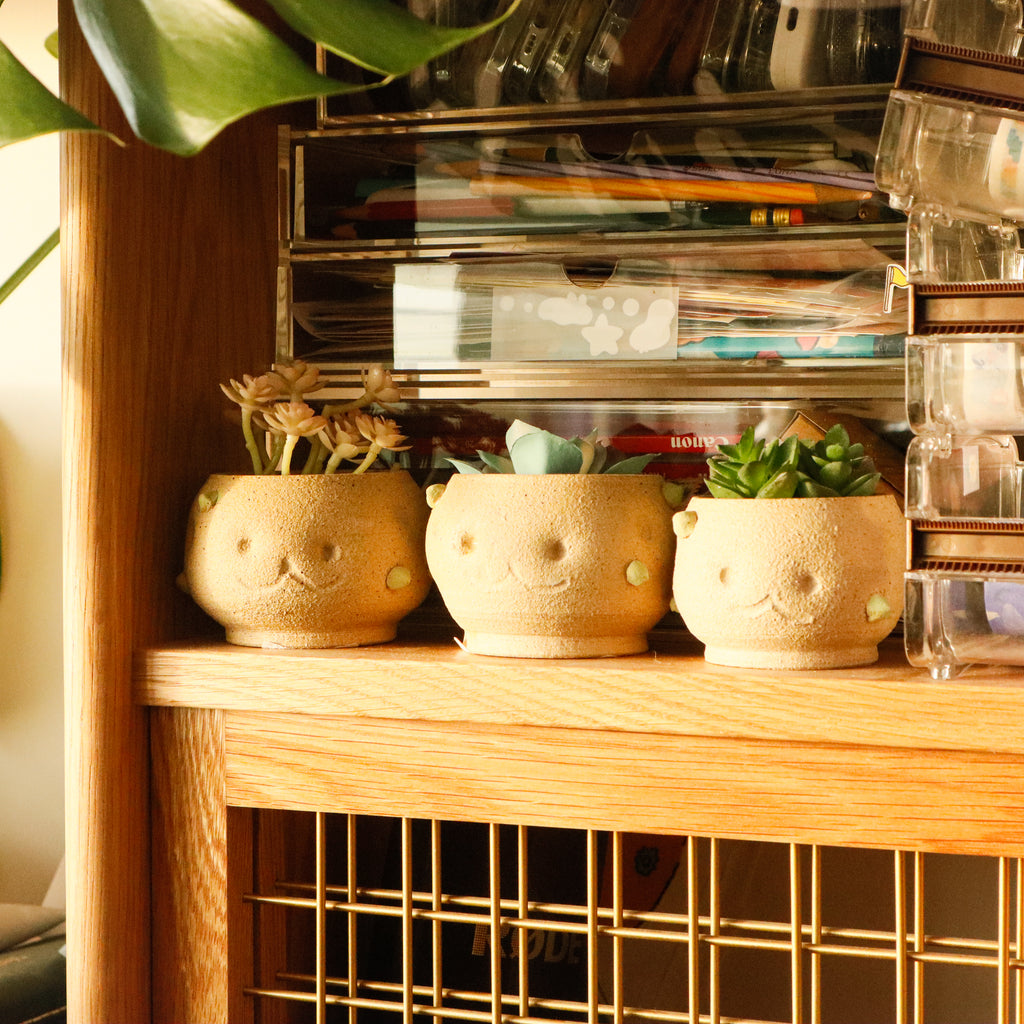 Mr. Potato | Planter